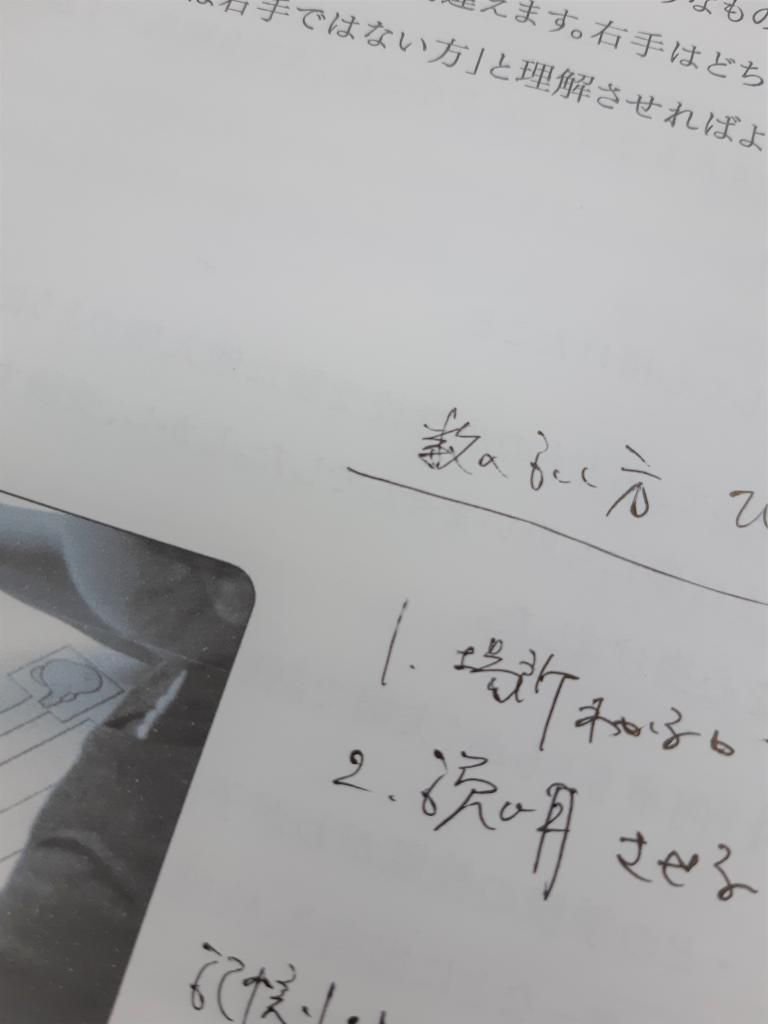 こぐま会　合格カレンダー　小学校受験 こぐま会 合格カレンダー 小学校受験