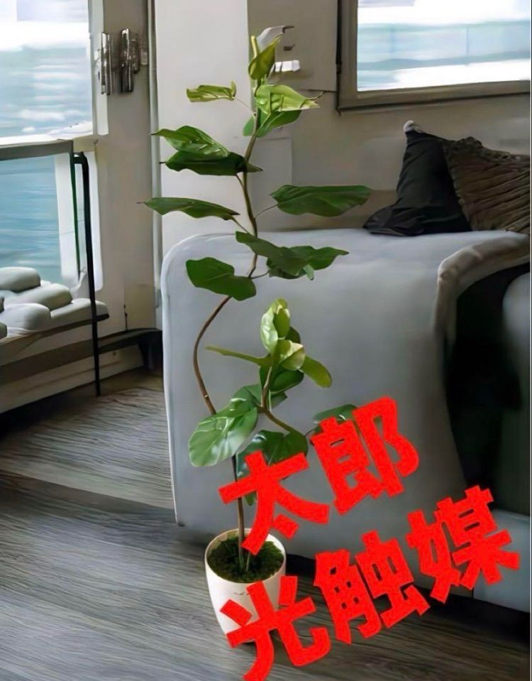 光触媒 人工観葉植物 ウォールグリーン フェイクグリーン クネクネウンベラータwa