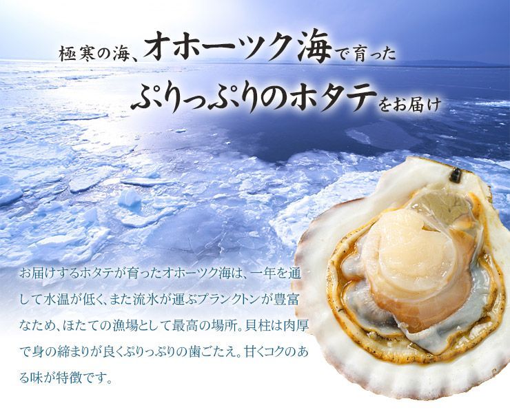 特大ホタテ1kg