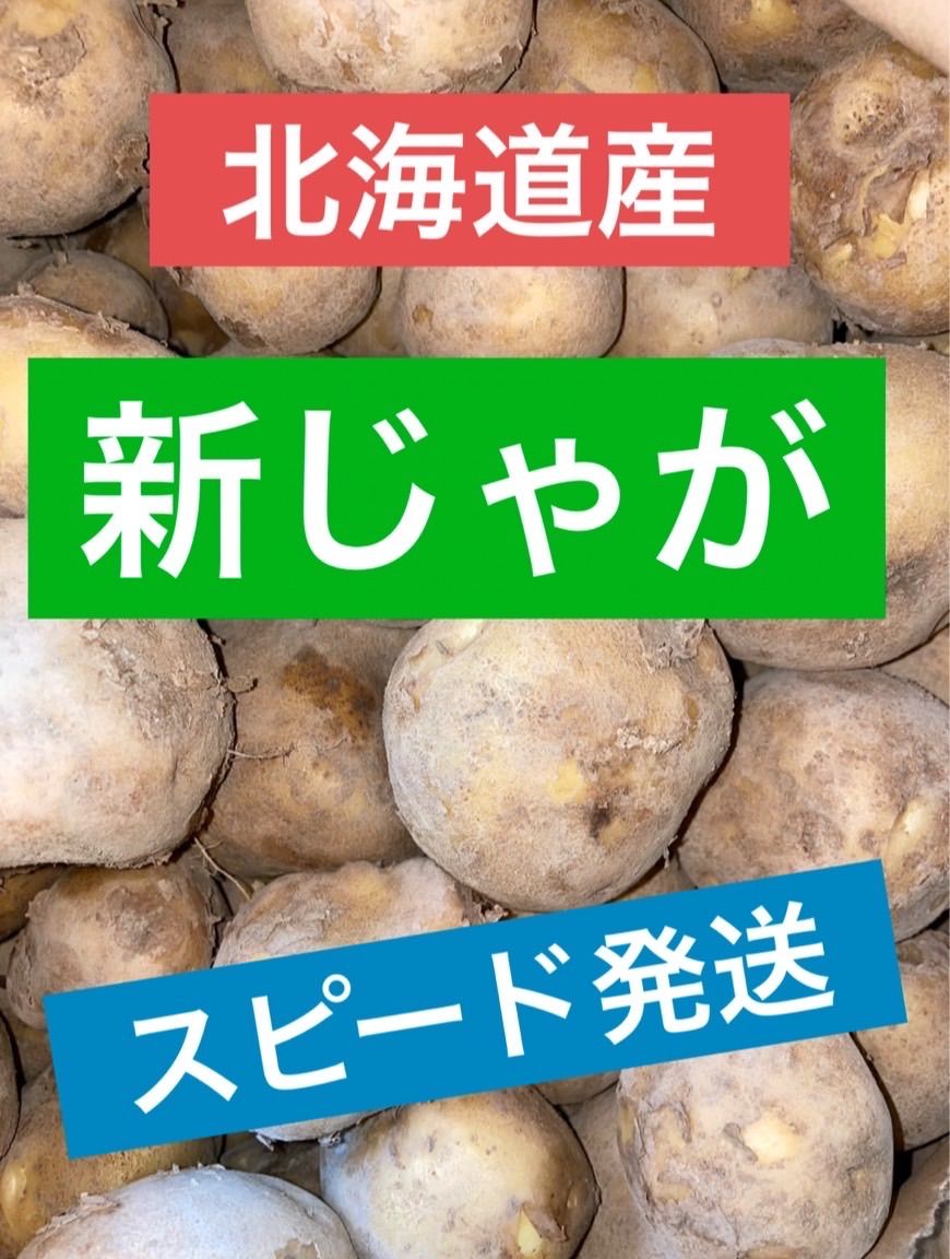 【数量限定】北海道 富良野産 新じゃが 込み玉 品種 とうや 約24kg