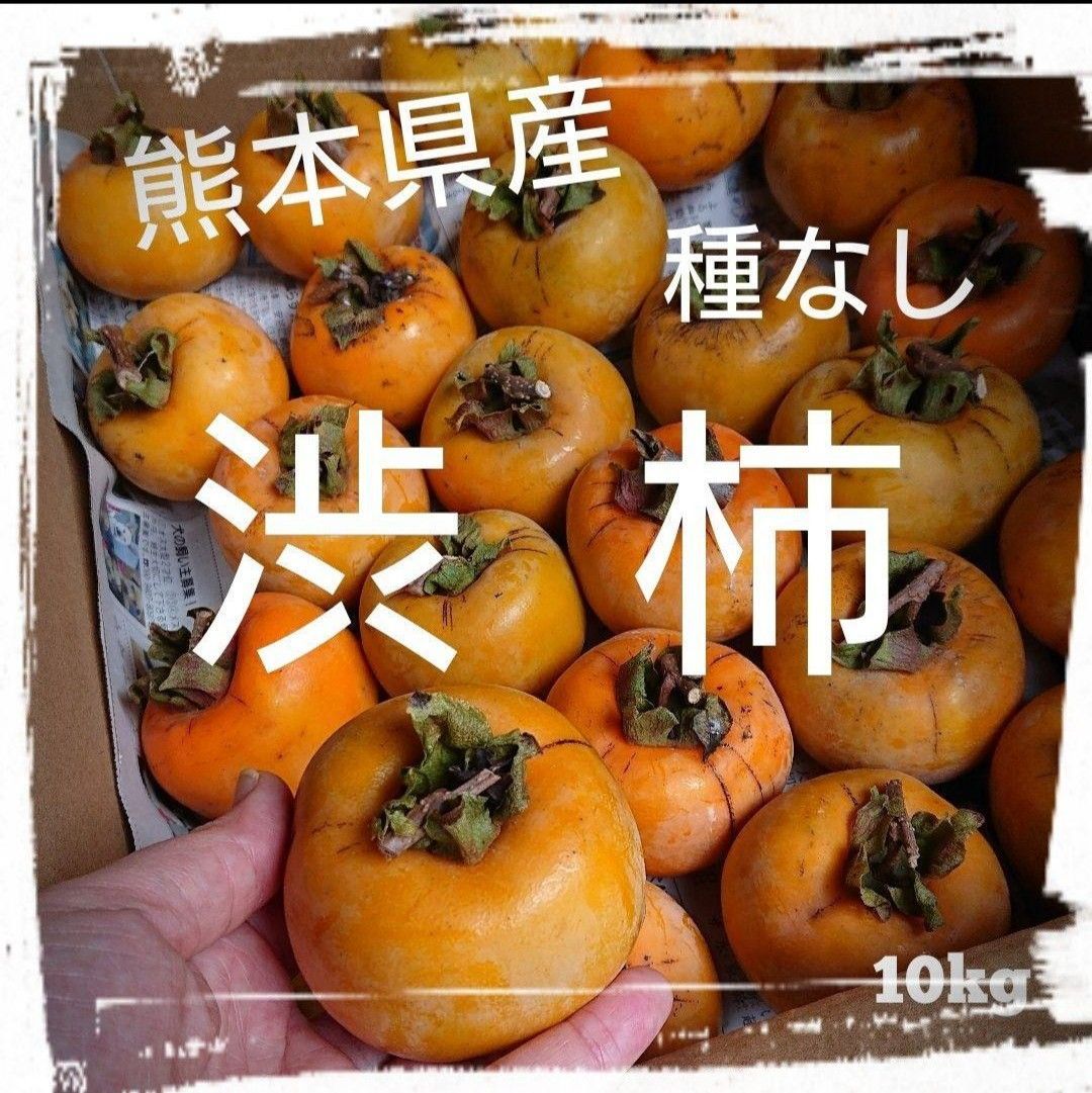 熊本県産 渋柿 20kg干し柿 - 果物