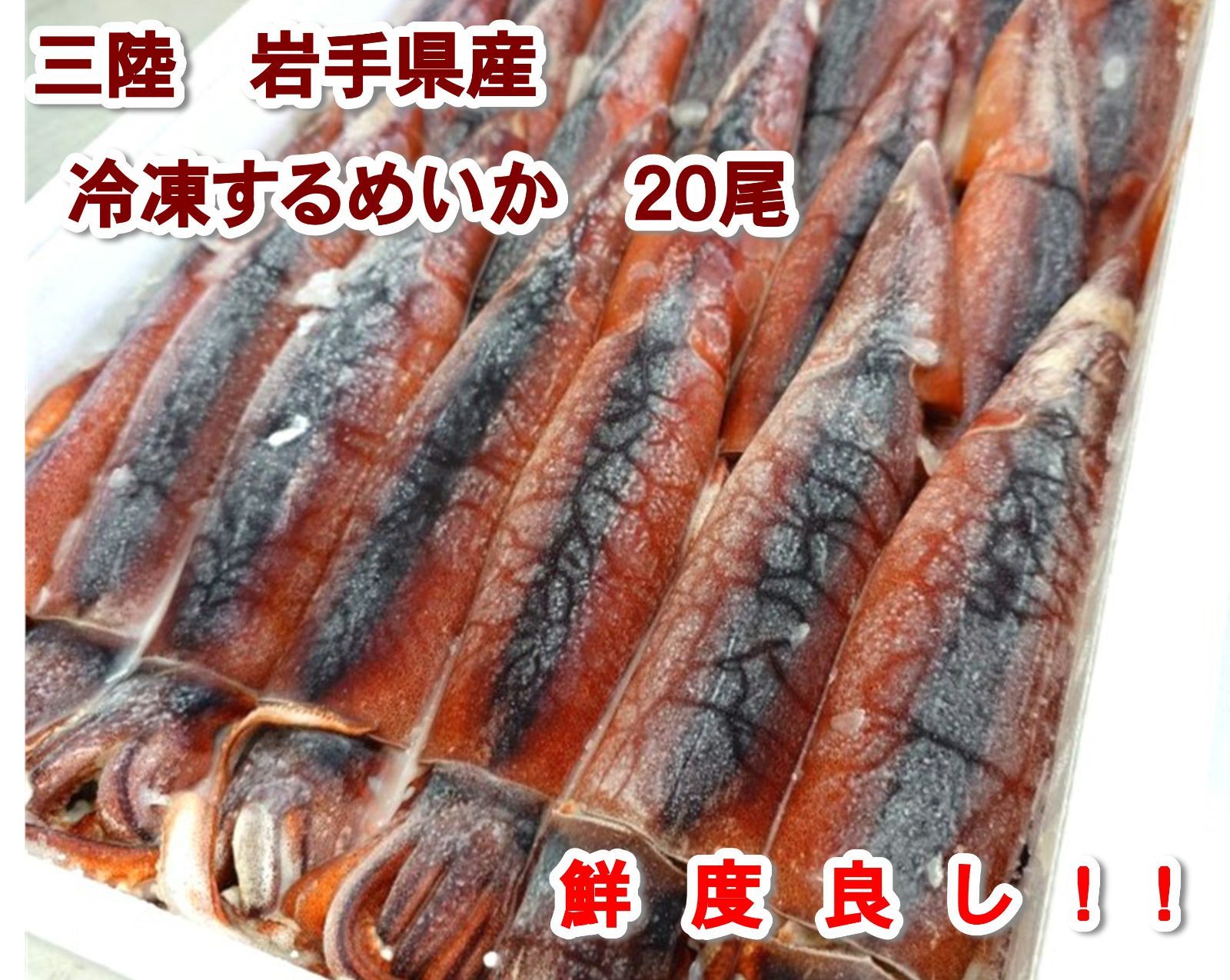 鮮度抜群 冷凍生するめいか 大 20杯 入り 氷ごと急速凍結 生冷 下氷 三陸 岩手県産 1杯 約 250g 新鮮な生いかを氷ごと冷凍に お刺身 もちろん塩辛にも最適鮮度です イカ 烏賊 するめいか 真いかイカ 刺身 塩辛 青森 北海道