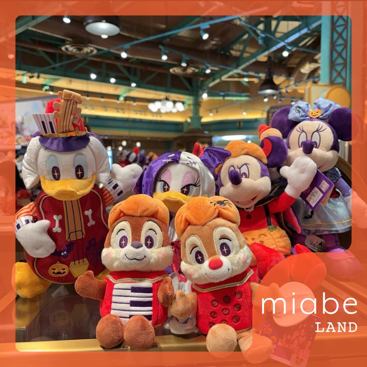 y*b様 ディズニーグッズまとめ売り⑦ ディズニーストアの大人気キャラクター「Disney UniBEARsity