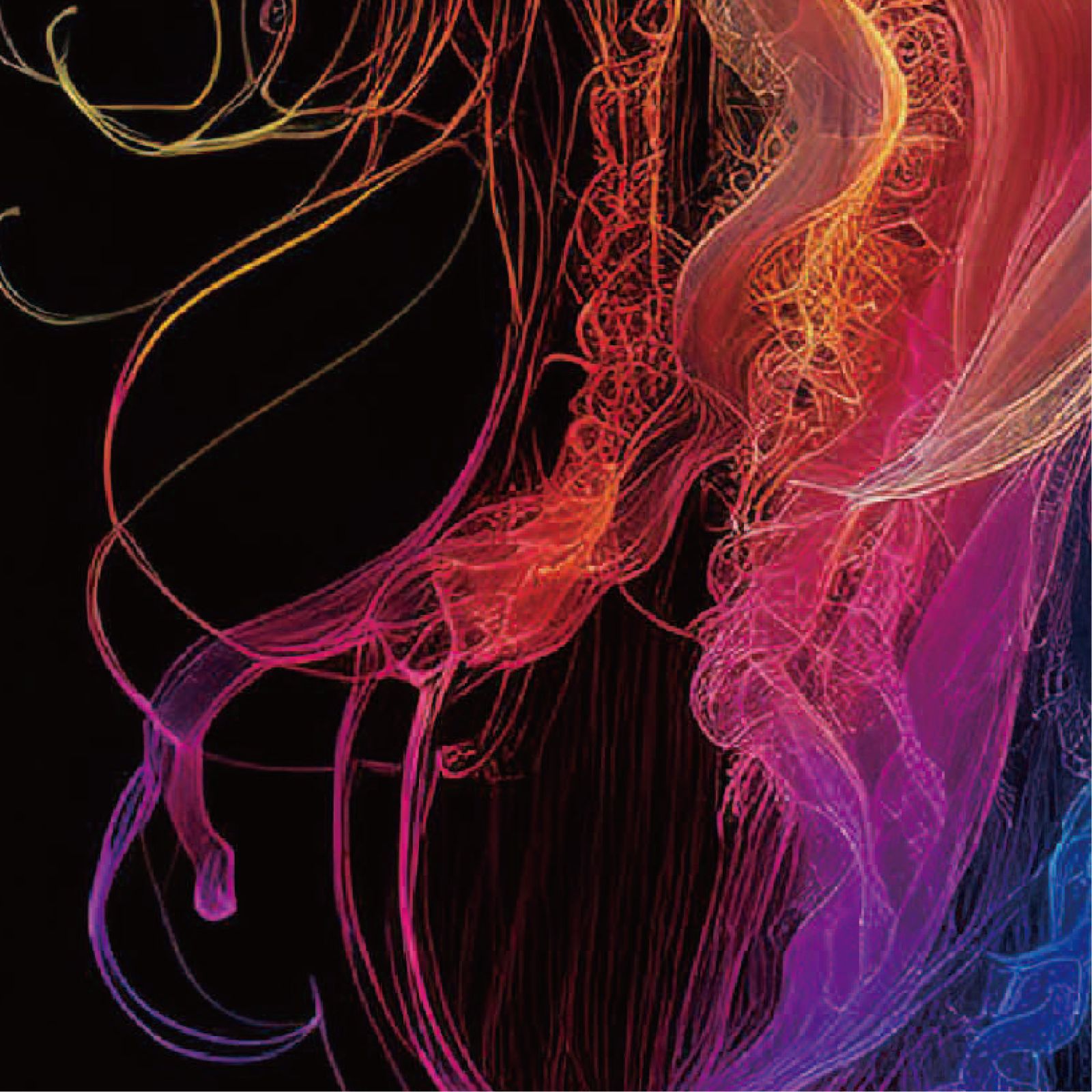 h*i様 iroca ミズクラゲ jellyfish rainbow リバーシブ 虹クラゲ <NO.001>（Rainbow Jellyfish）』 《ショップオリジナル