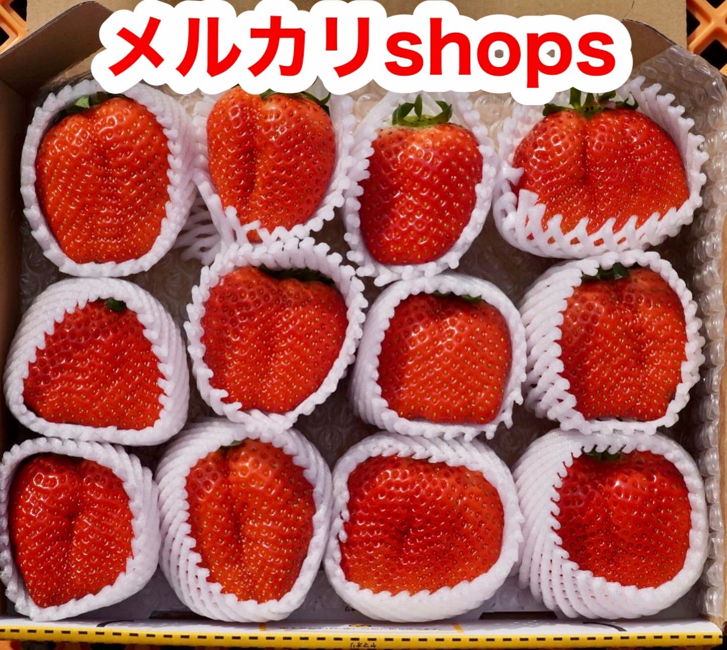 特大 愛媛県産新鮮朝採りいちご