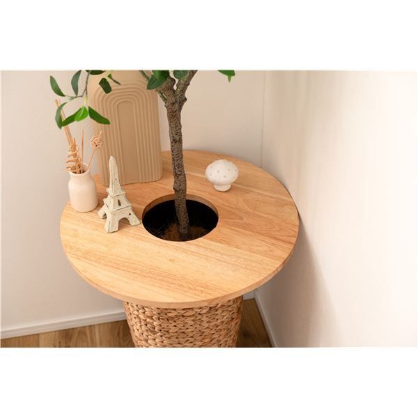 プランターテーブル 単品 円形 約幅50×奥行50×高さ1.8cm ナチュラル