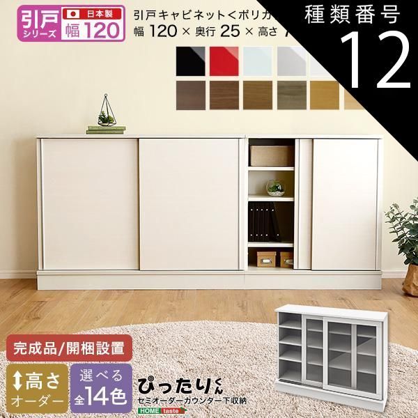 種類12:シルバー（艶有） セミオーダーカウンター下収納ぴったりくん キャビネット(ポリカタイプ クリア) 幅120cm×奥行25cm