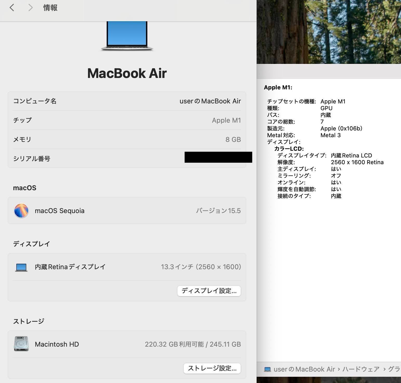 MacBook Air M1 100%バッテリー 256GB MGN93J/A - メルカリ
