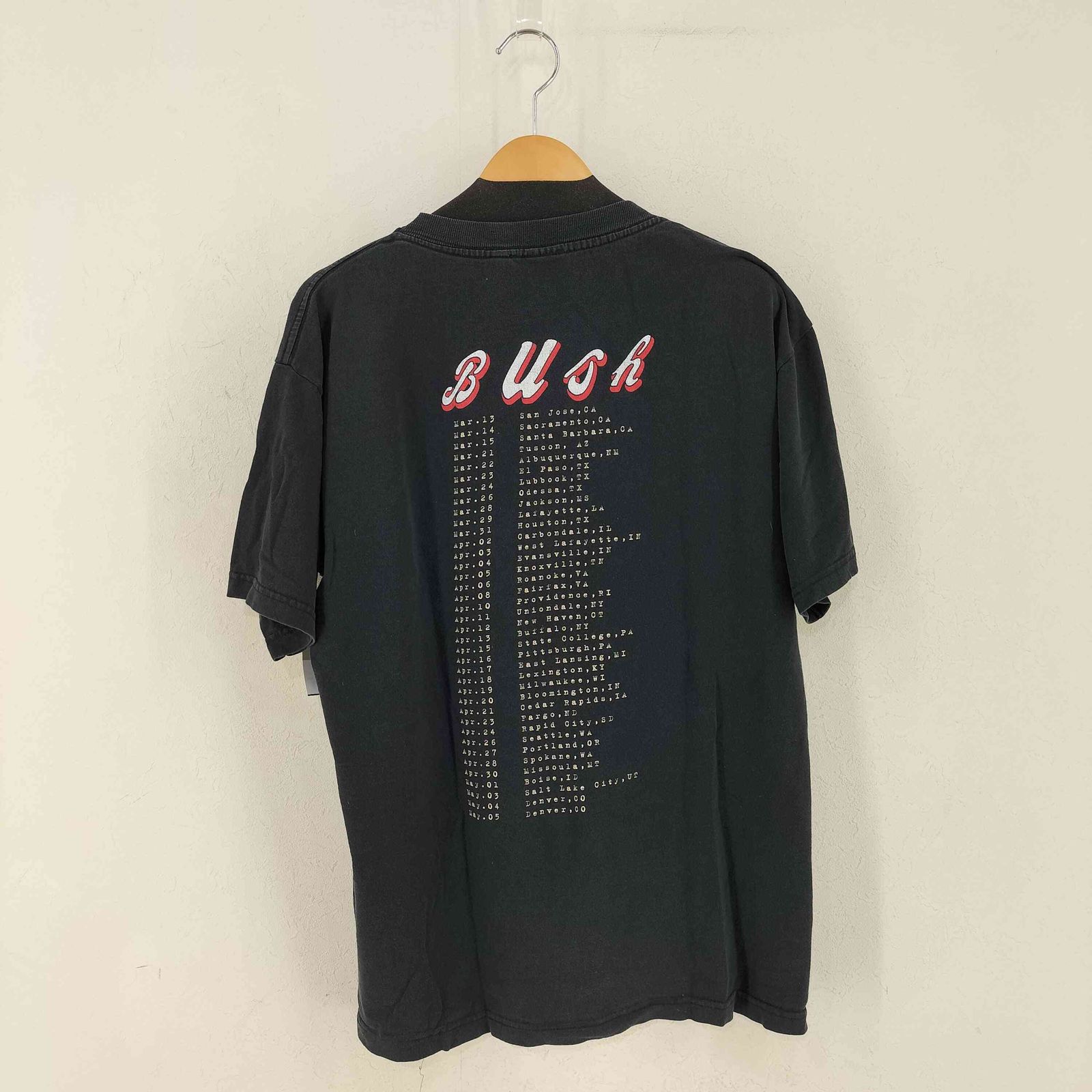 ジャイアント giant MADE IN USA 両面プリントバンドTシャツ SIXTEEN