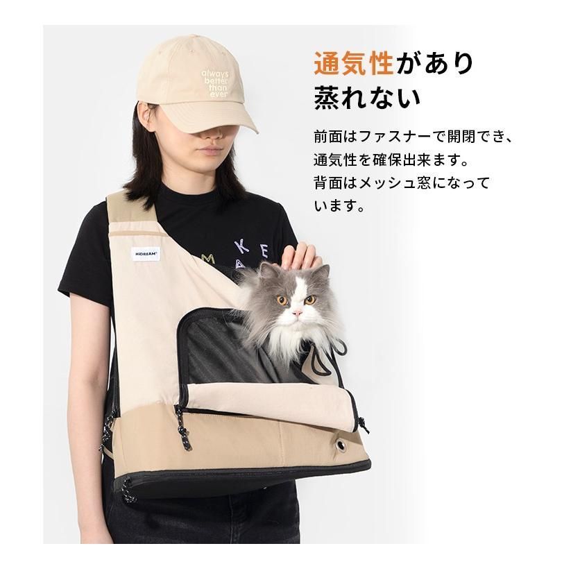 猫 ネコ