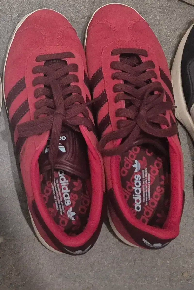 増子敦貴 NATS LIVE レシピカード24枚セット 増子敦貴 GENIC