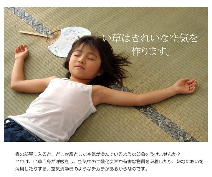い草 上敷