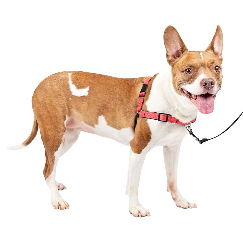 PetSafe ペットセーフ 犬用 ハーネス デラックスイージーウォークハーネス M ローズレッド|ブラック 引っ張り防止 散歩 トレーニング 1