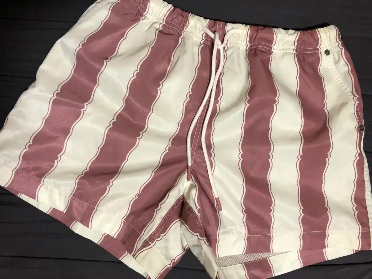 今日のみ セッター ストライプ スイムショーツ L