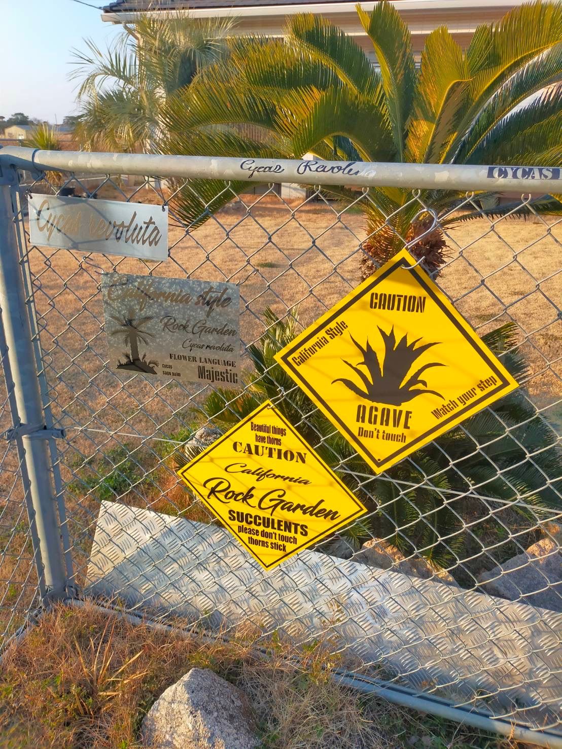 アガベ2 アルミ看板 - メルカリ