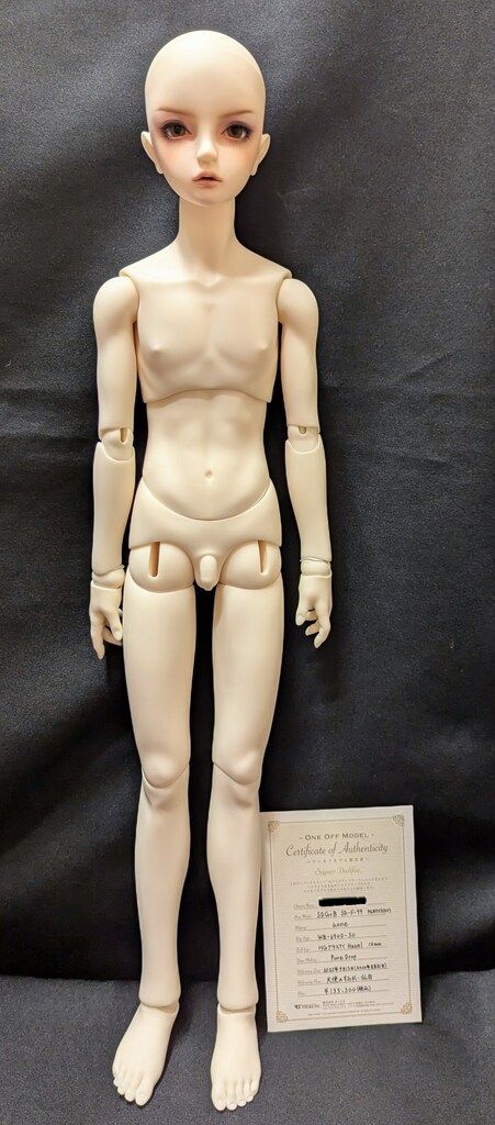 ボークス SDGr男の子 ワンオフモデル F-99 PSホワイト