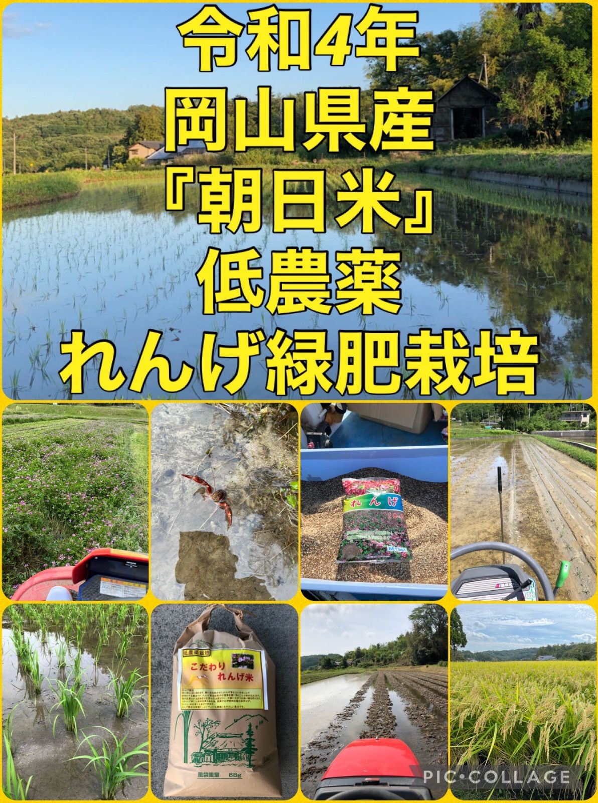 令和4年岡山県産 低農薬『れんげ緑肥栽培』『朝日米』玄米20キロ