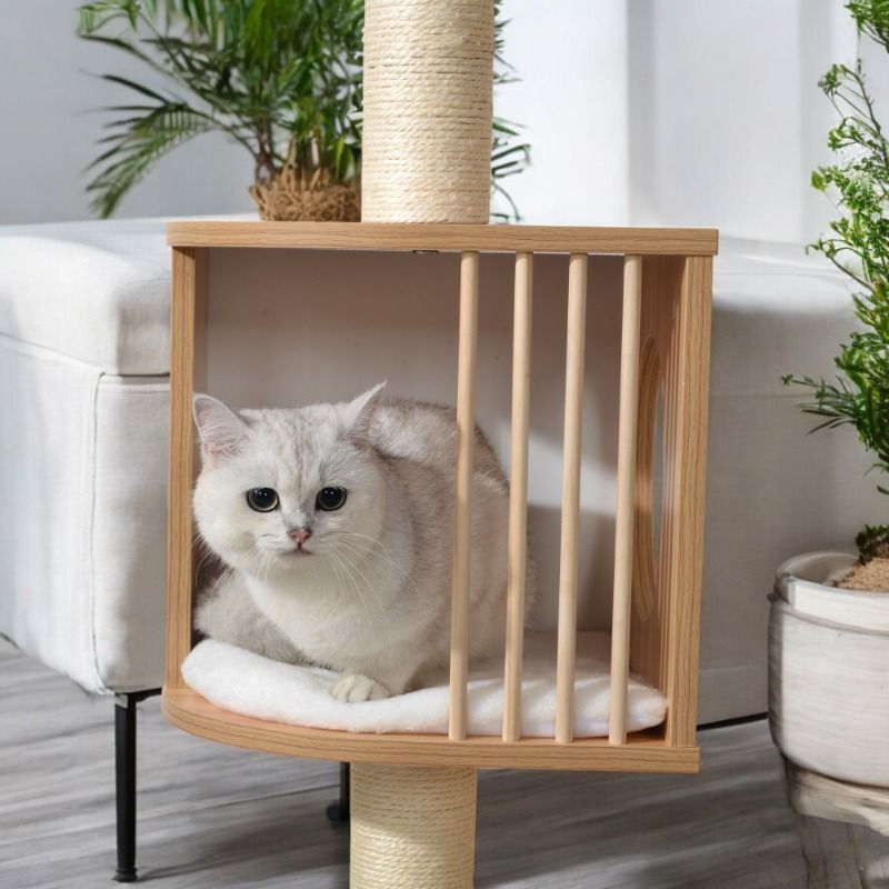 - 猫のための安全なペットヘブンaWs