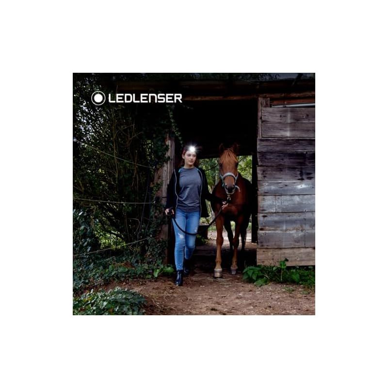 アップデートが施された