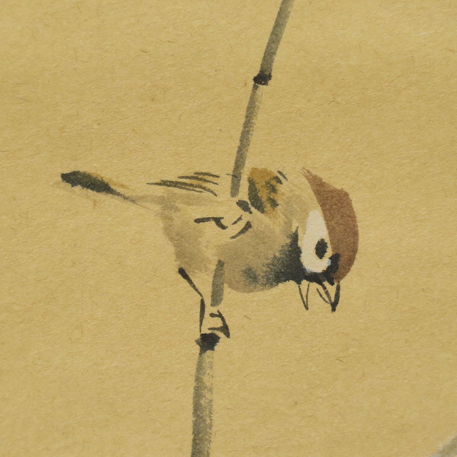美品 掛け軸 大徳寺派瑞泉寺 須賀玄道作 梅画賛「渓梅一朶香」共箱 禅語 茶掛け 0195 美品 須賀玄道 真作保証 掛軸 大徳寺派 多福山瑞泉寺住職