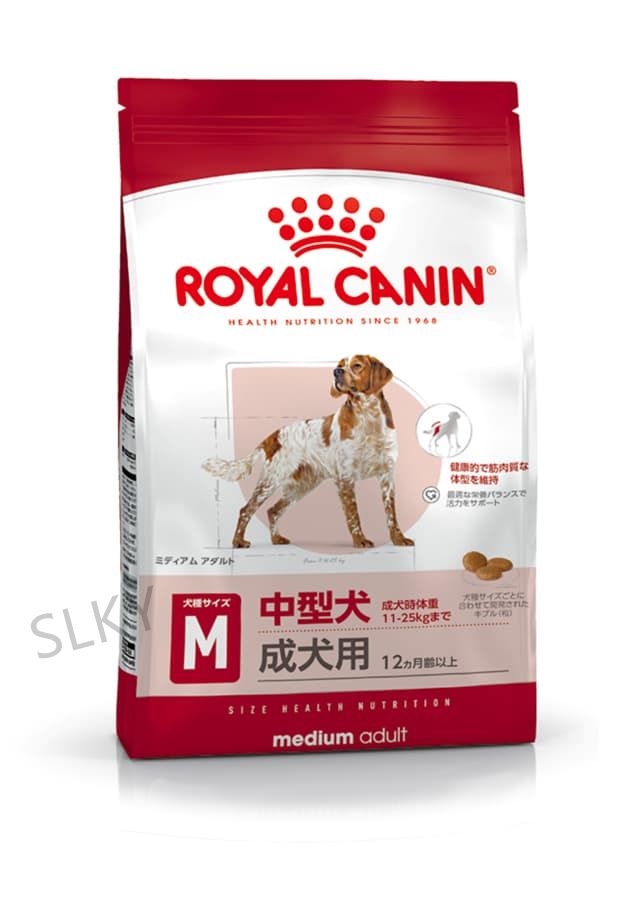 ミディアム エイジング 10 中型犬 フード 高齢犬用 10歳以上 15KG BB5