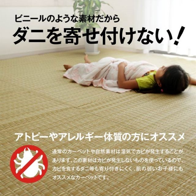 日本製 洗える PPカーペット ネイビー本間6畳 約286×382cm 洗える PPカーペット アウトドア ペット ネイビー 本間6畳（約286