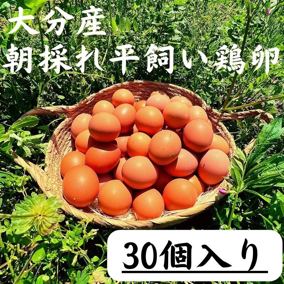冷蔵 30個入 宮下養鶏の朝採れ平飼い卵 大分県産 - メルカリ