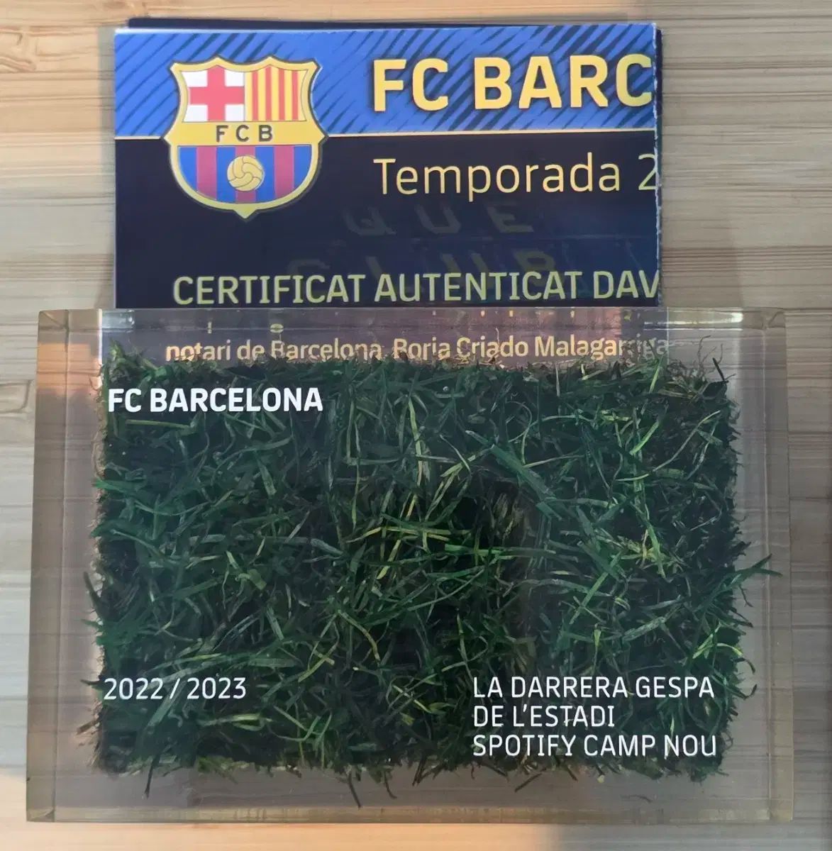 バルセロナ カンプ ノウ競技場 ザ ファースト 경기 잔디