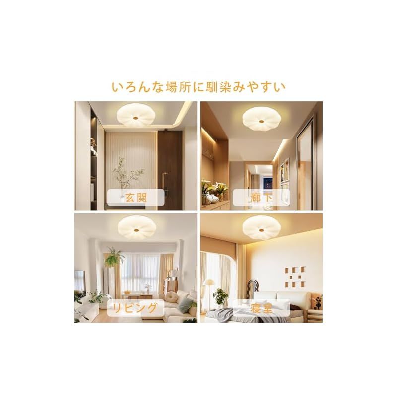 DINGLILED シーリングライト おしゃれ 8畳 8畳-10畳 調光 調色 3段階調