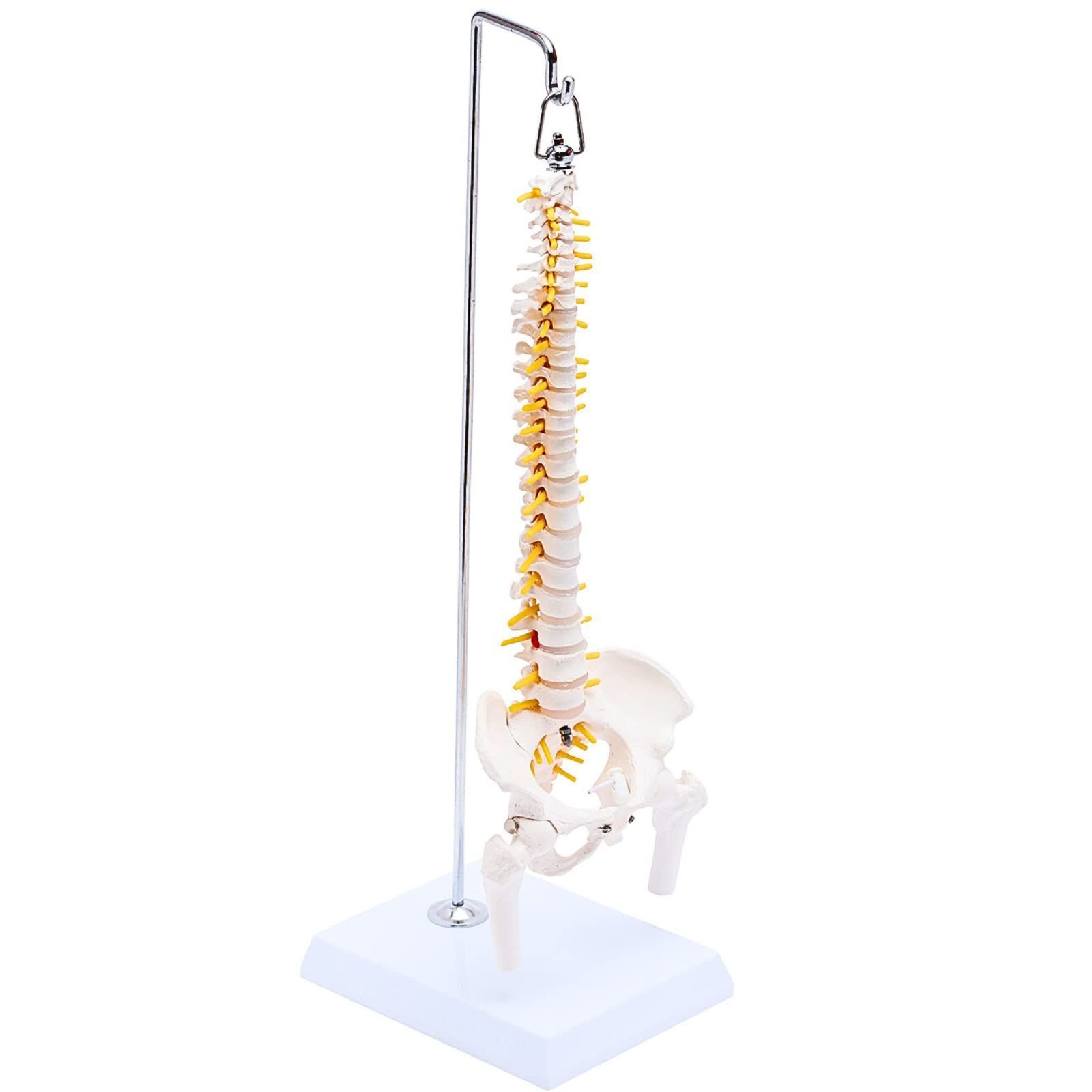 しんさん専用 アチーブメントプランナー フルセット バインダー付き