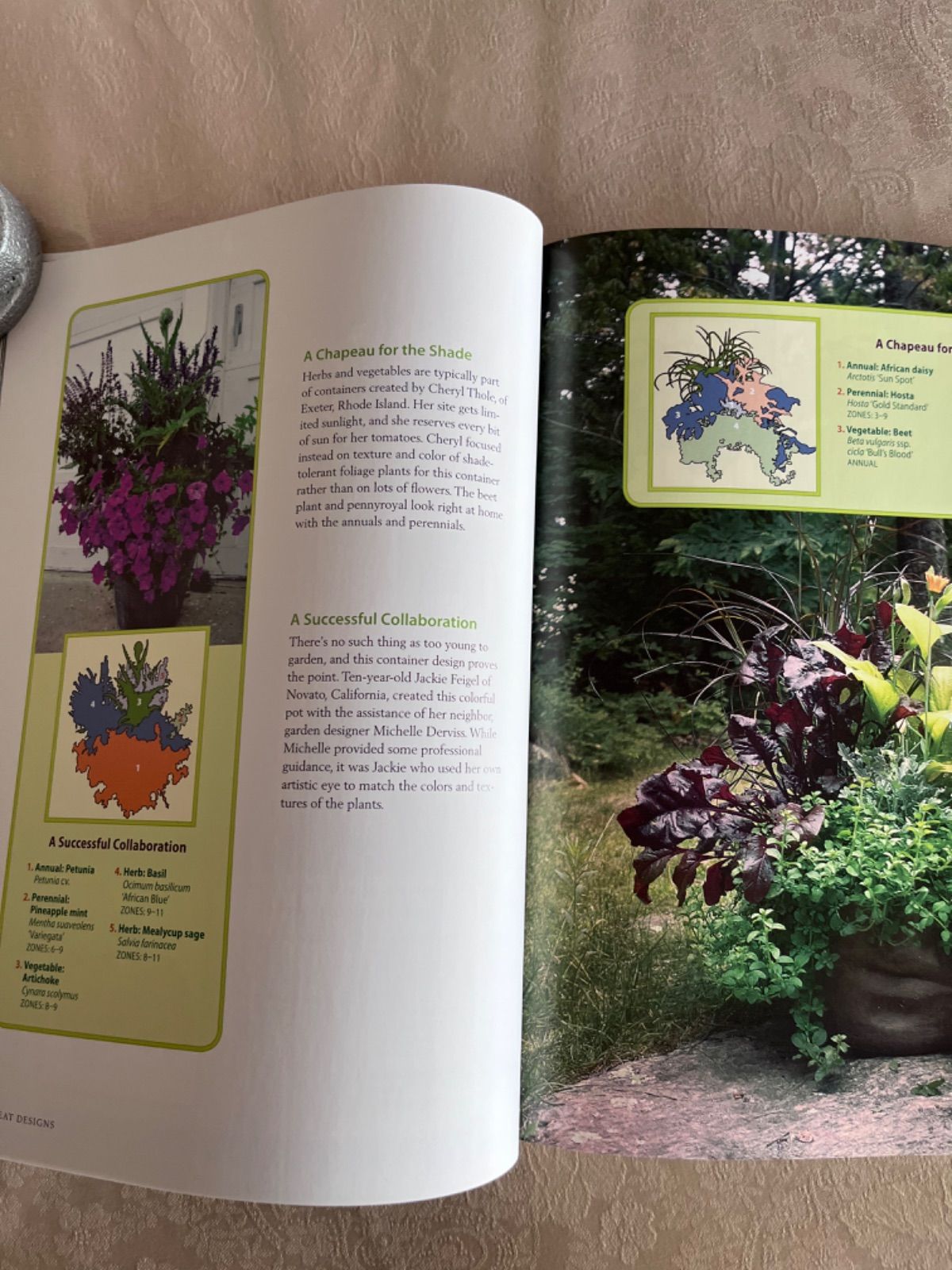 洋書 CONTAINER GARDENING 250 Design Ideas & Step-By-Step