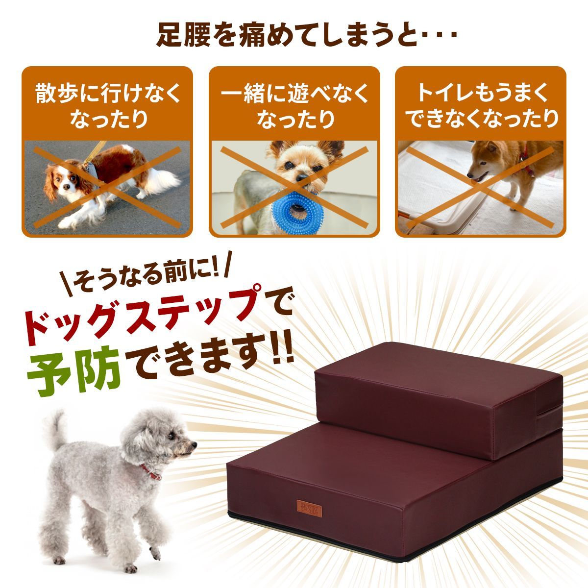 階段 ペット