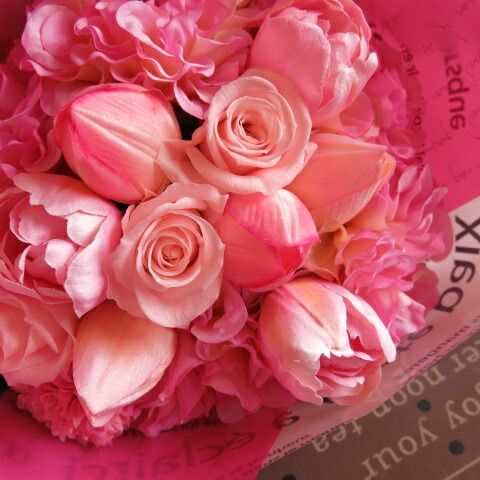 ミッキー-ミニー入り