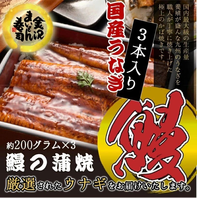 うなぎ蒲焼3本 国産 大サイズ蒲焼3尾 解凍前約200g 解凍後約185g ×3本