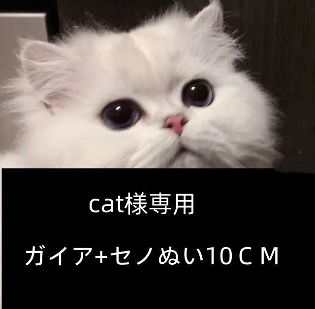 cat様専用ページ ガイや ぬい 10cm セノぬい 10cm - MeToo Store