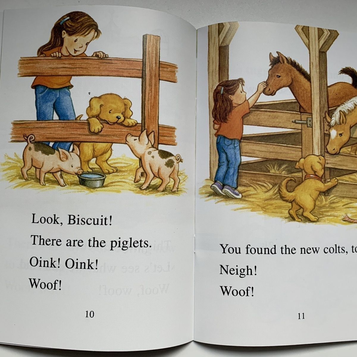 Awsome Animals Adventure 9冊英語絵本　洋書　英語勉強 Awsome Animals Adventure 9冊セット 英語絵本 洋書 英語勉強