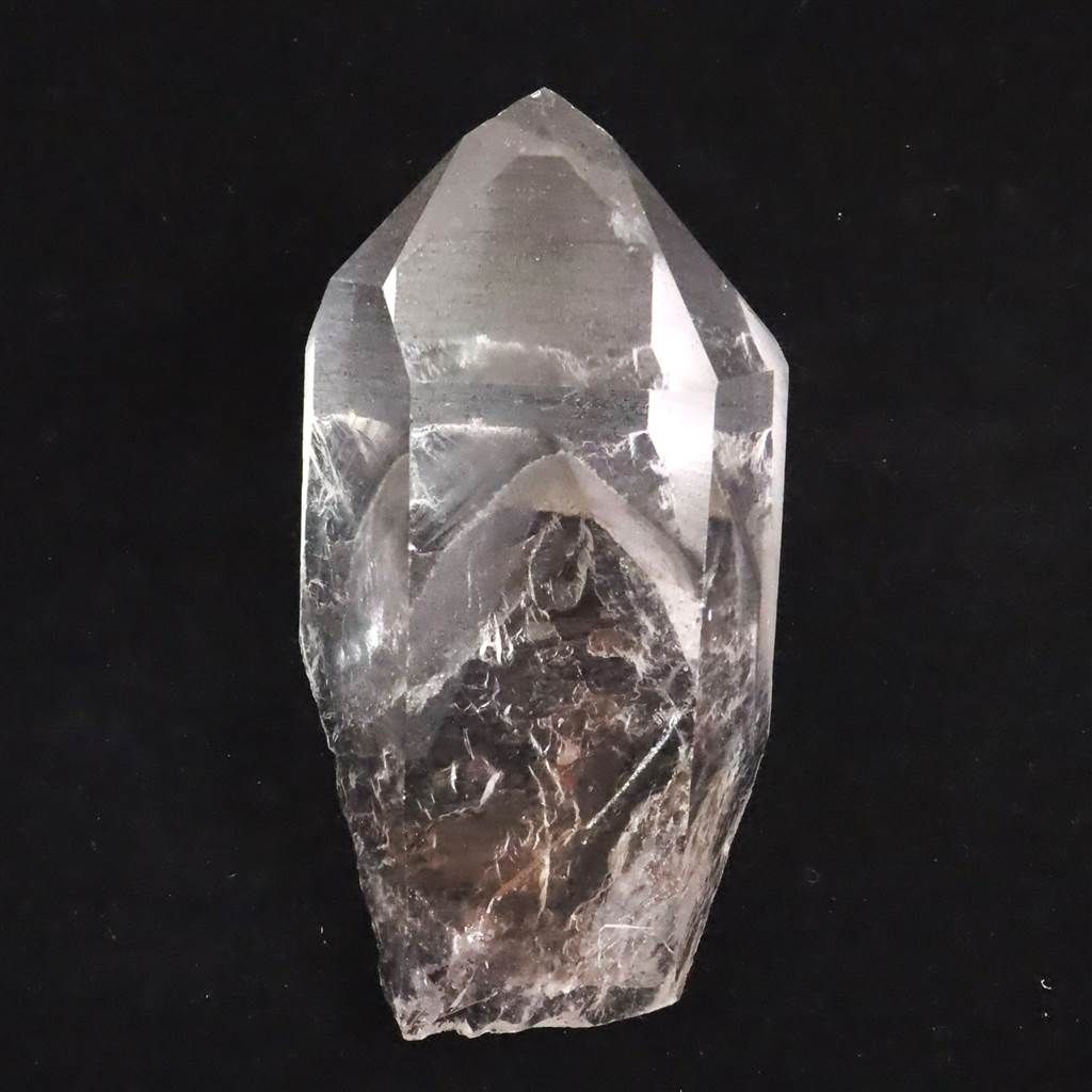 忍者 (カバー )モンキーマジック 8センチシングル短冊邦楽8cmCDS 未開封