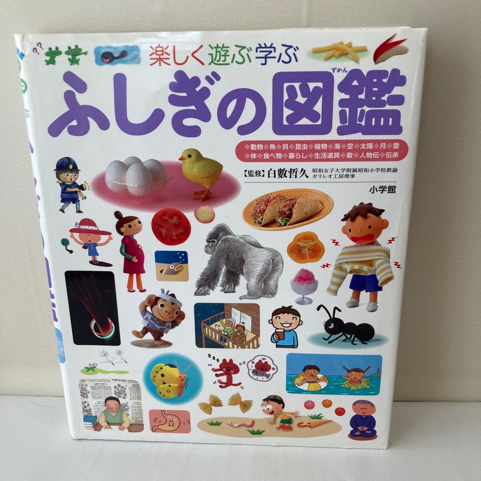aku　小学館の子ども図鑑　プレNEO NEOプラス　小学館　図鑑　セット 小学館 図鑑NEO プレNEO 11冊セット 不思議 世界 日本 世の中