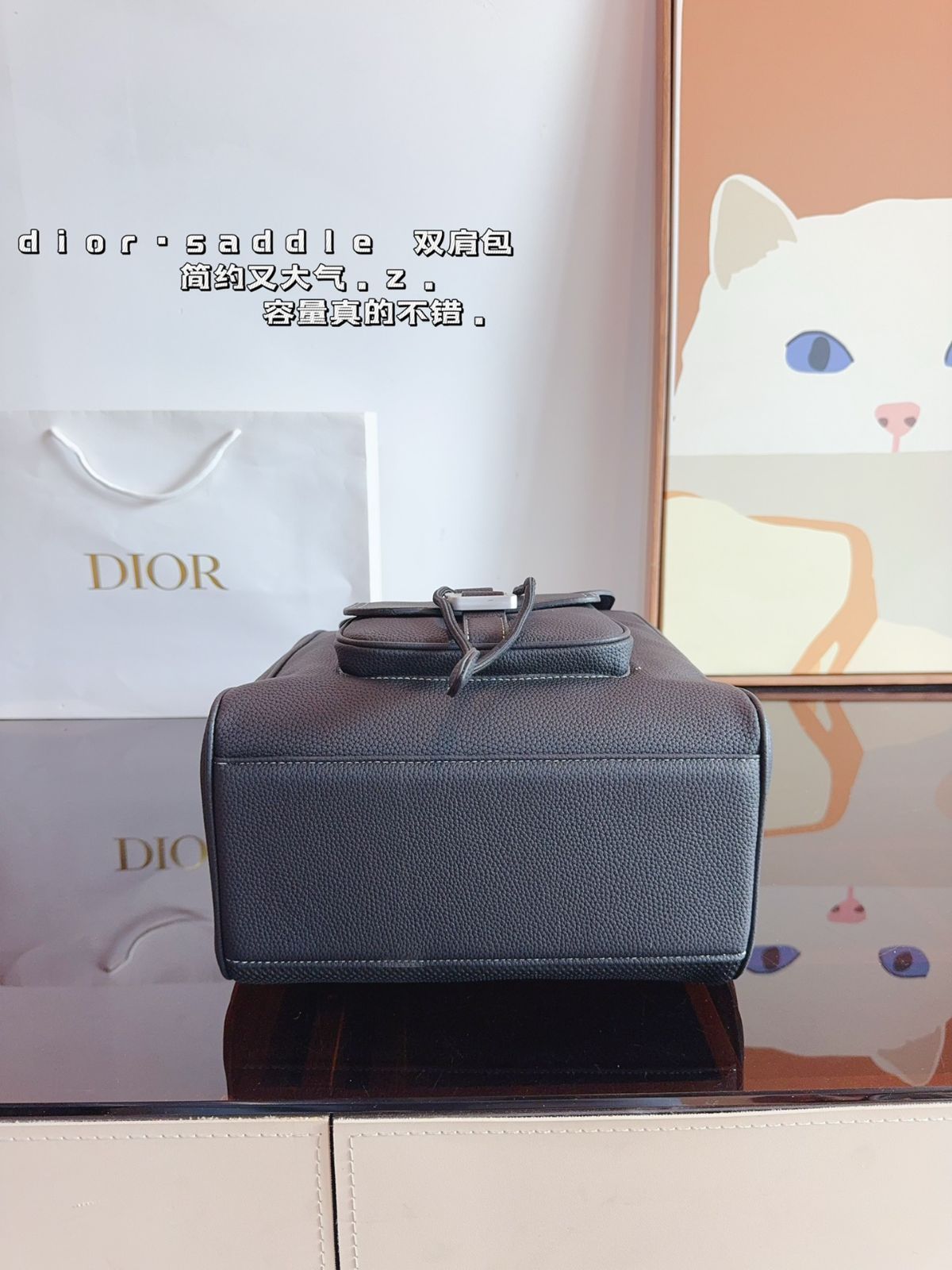 ディオールのショルダーバッグ、すなわちハンドバッグのバッグ
