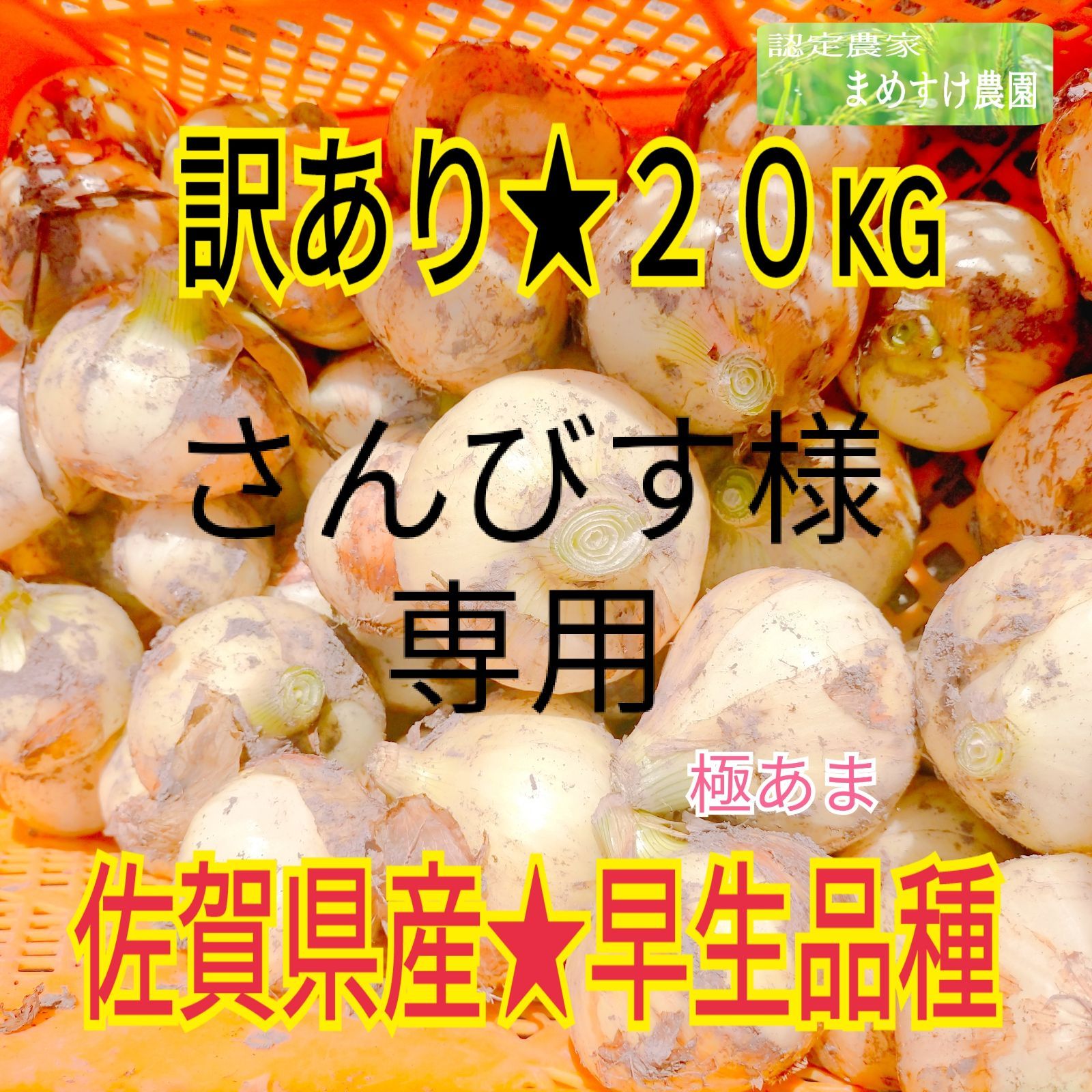 さんびす様専用 佐賀県産 極甘 新 玉ねぎ 早生品種 訳あり 20kg - 豆