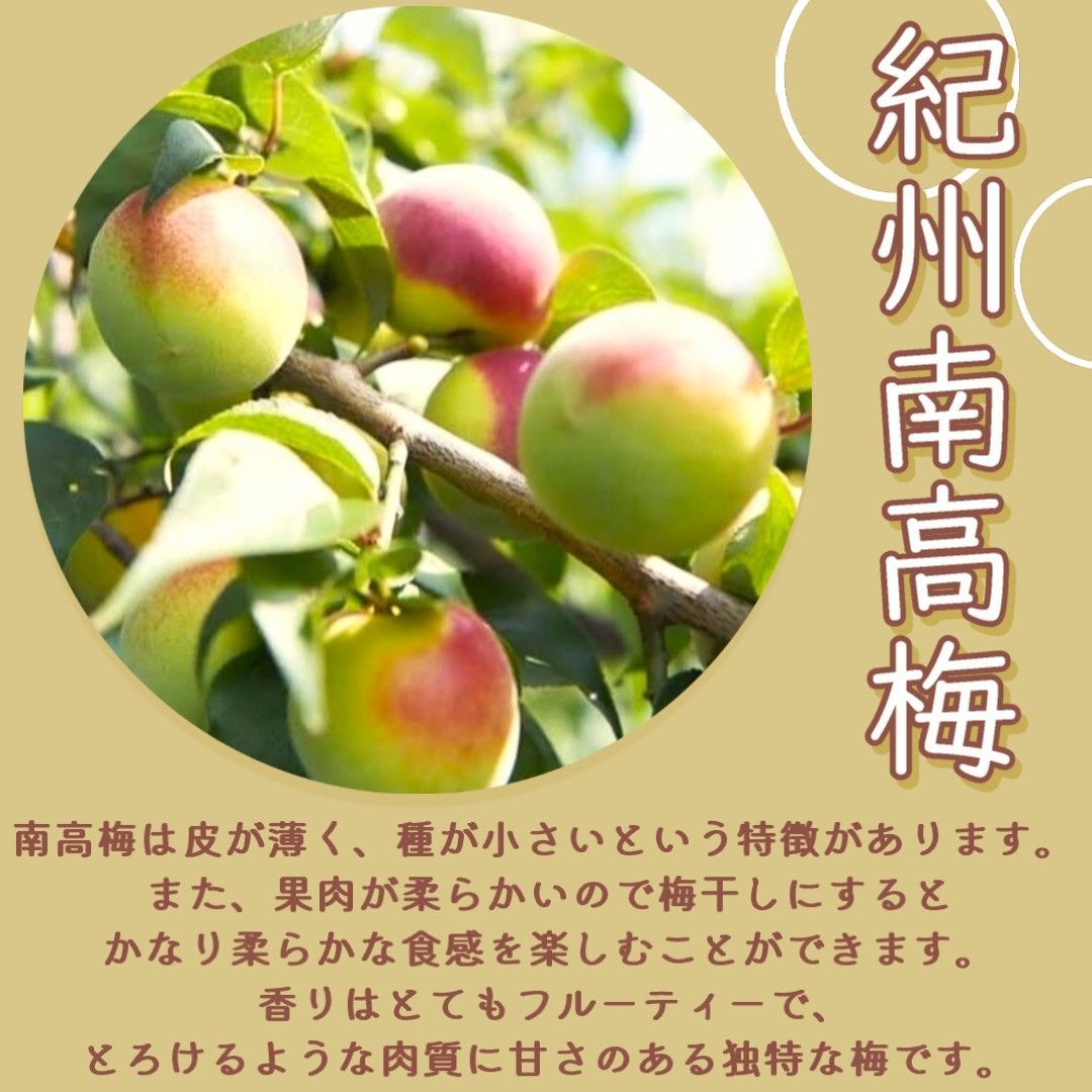 71【☆450g☆ 塩のみ 無添加 紀州南高梅 白干し梅 塩分18