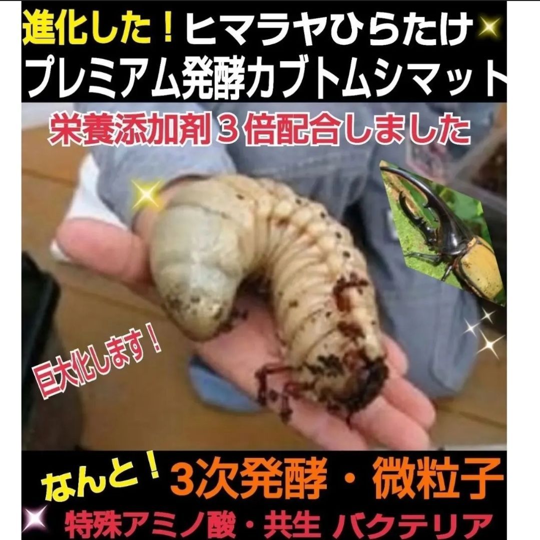 ケース入りマット☆10リットル☆カブトムシ幼虫を入れるだけ ケース入りマット☆10リットル☆カブトムシ幼虫を入れるだけ