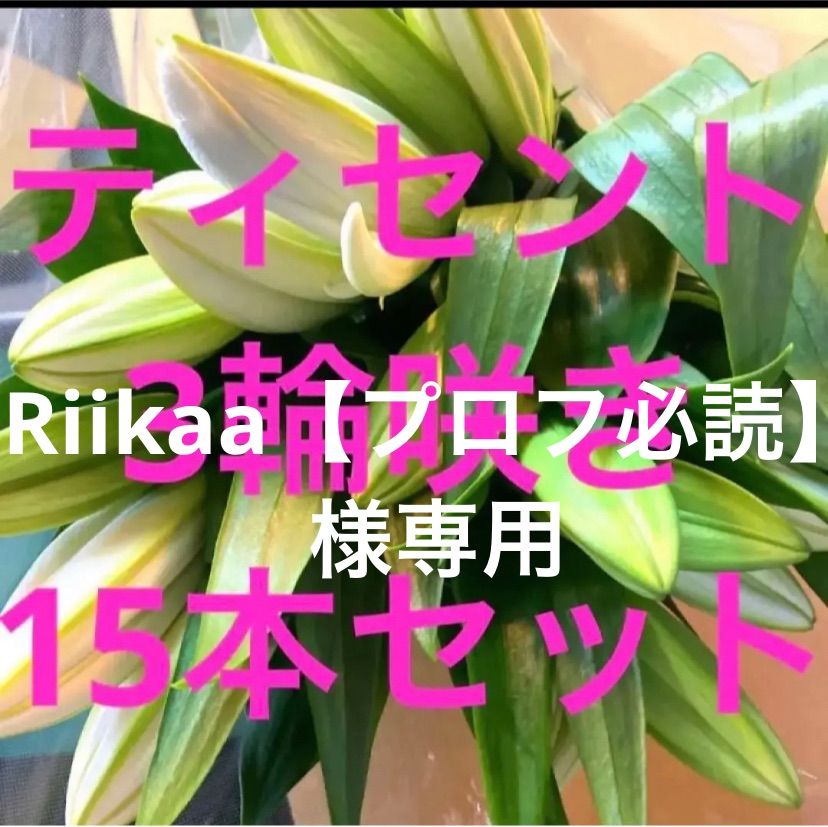 Riikaa【プロフ必読】様専用 なので他の方はご遠慮下さい。 クール便