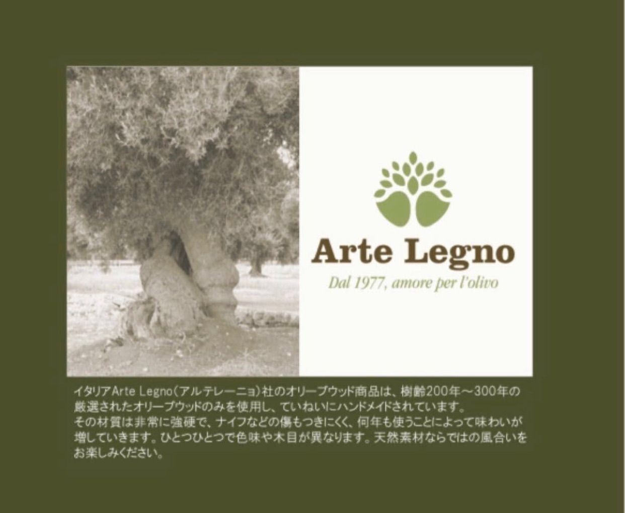 Arte Legno(アルテレーニョ） ルスティックハンドルカッティングボード ハンドメイド Ｍade in Italy オリーブウッド 【まな板】  - メルカリ