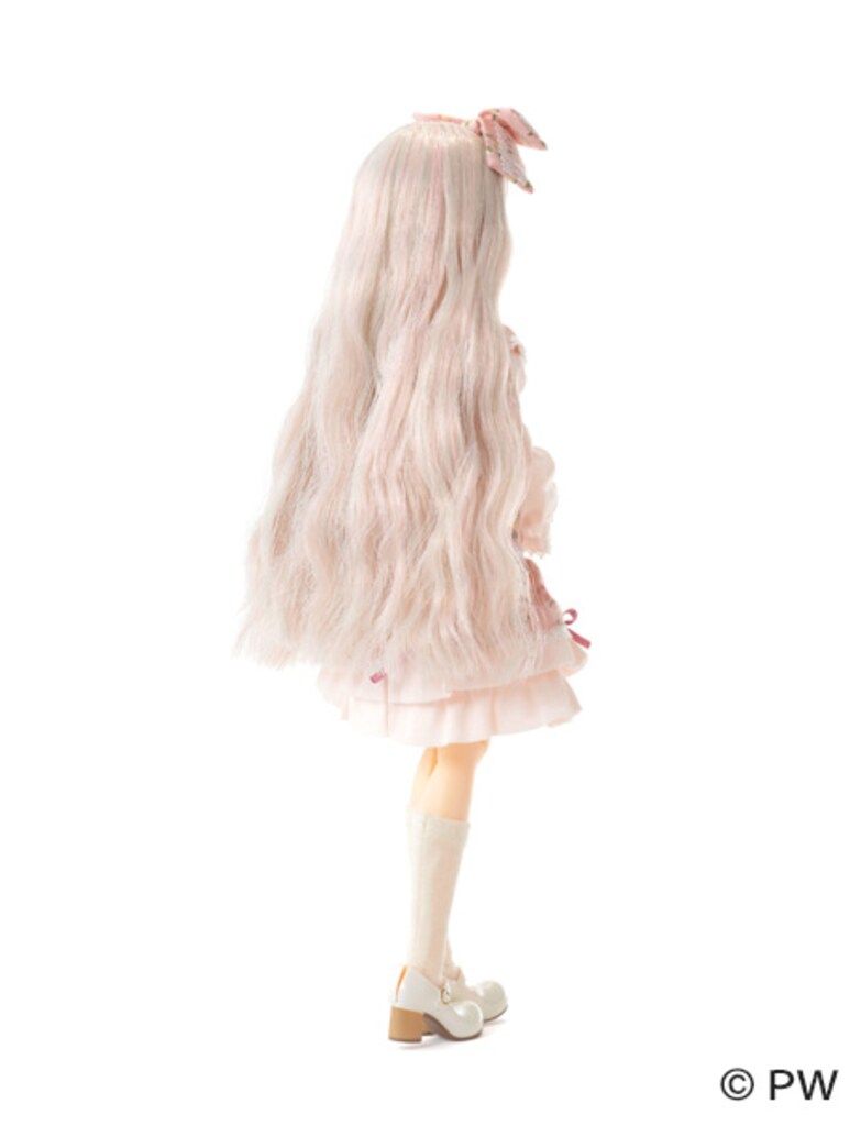 ペットワークス CCSgirl