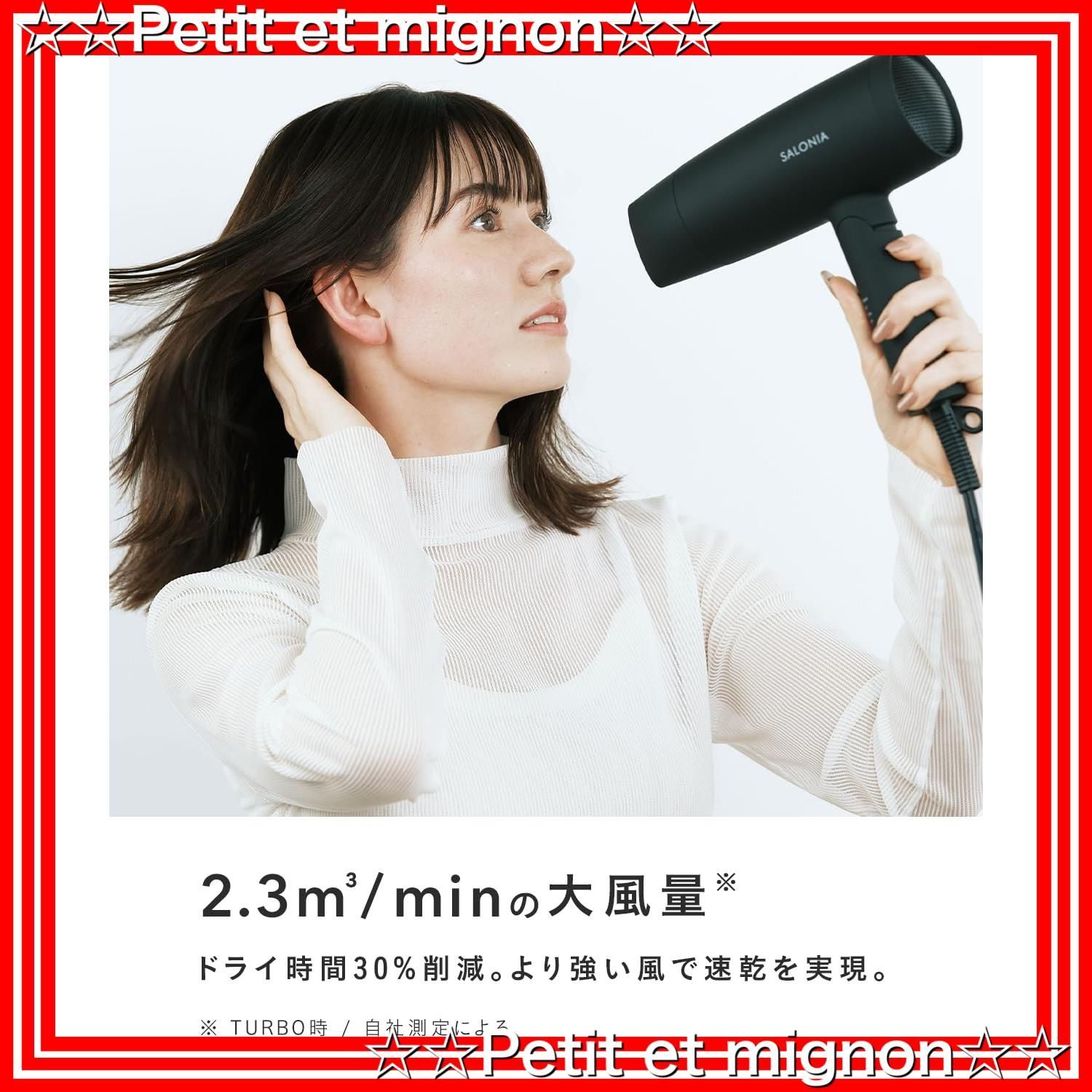 SALONIA サロニア スピーディーイオンドライヤー SL-013BK