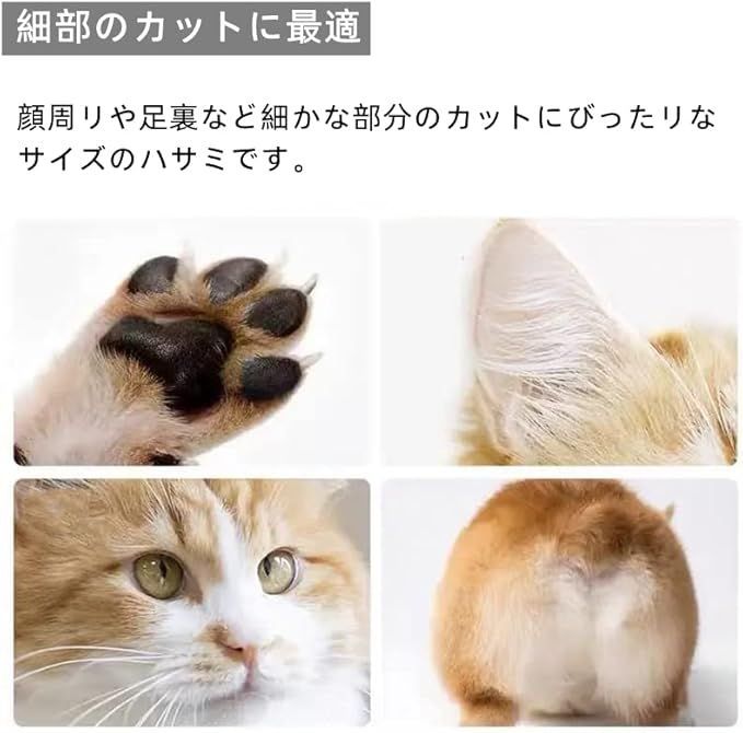 曲がった刃 丸い先端 ステンレス製 部分ケアハサミ 3.7inch ペット用ハサミ ペット用 細かい作業 在庫セール3.7inch ステンレス ミニはさみ 人気商品3.7inch 黒 : Dosi 在庫処分3.7inch