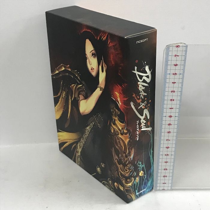 ブレイドアンドソウル キット 初回版 イーフロンティア 5枚組 PCソフト DVD CD