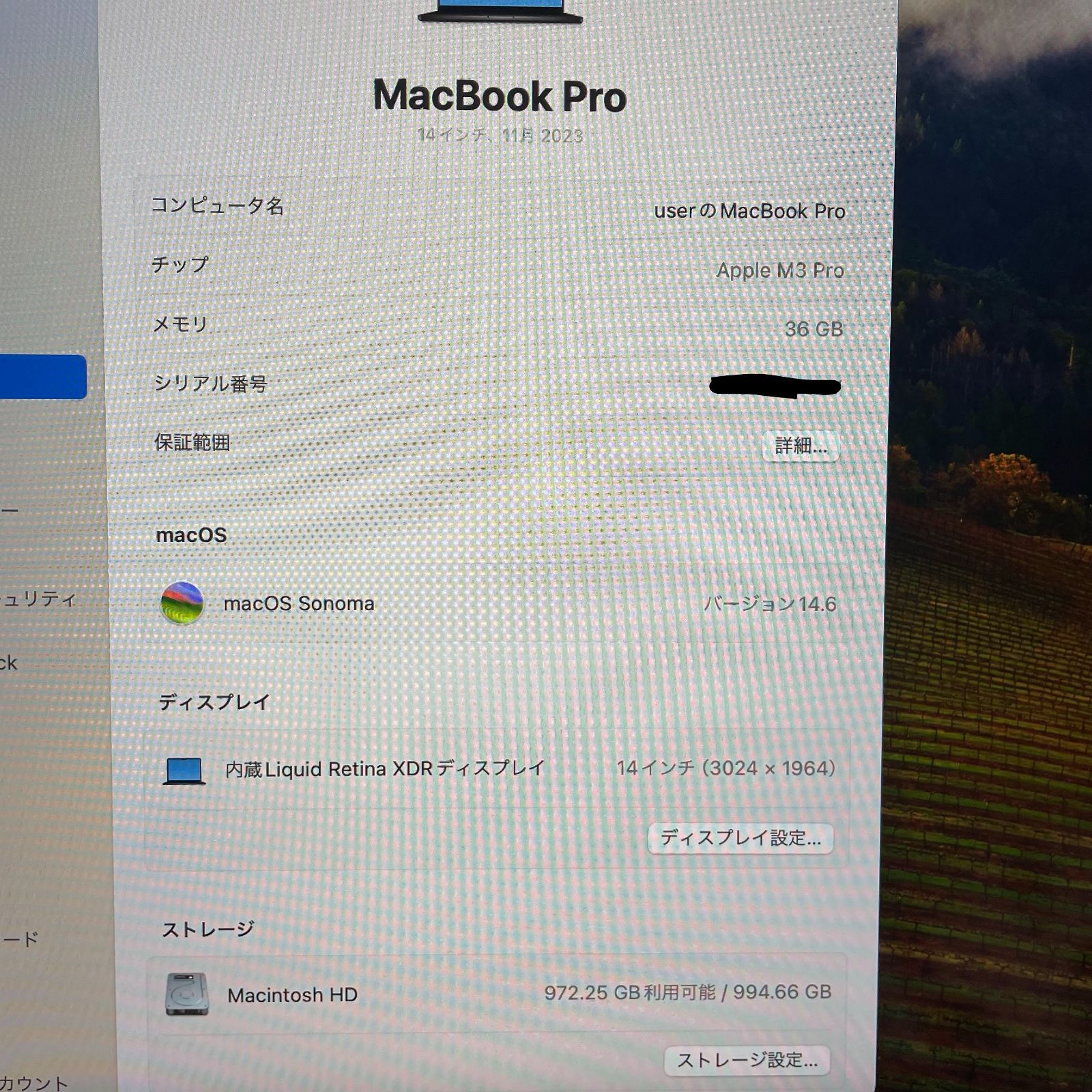 美品 バッテリー100% 完動品 Apple MacBook Pro M3 Pro チップ