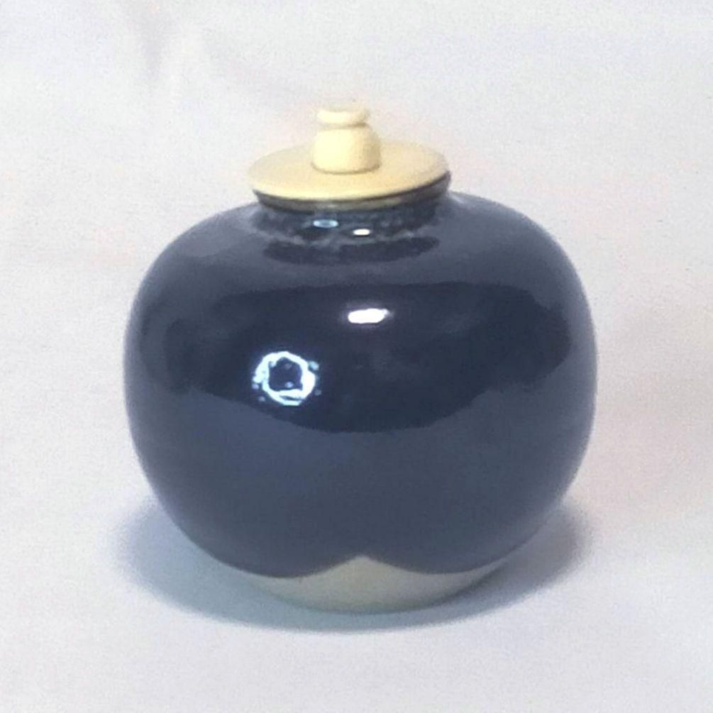 内海茶入 桶谷定一 茶道具 仕覆 蓋 共箱 大海茶入 中海 内海茶入 桶谷定一 茶道具 仕覆 蓋 共箱 大海茶入 中海 茶道具